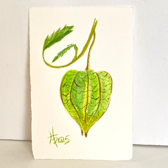 Ground Cherry Pod Original Watercolor Painting 8x10in Matted Frame Ready - Picture 4 of 5